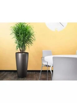 Lechuza® Rondo Self-Watering Planters -Optimal Garden Care 8594586 02V tif