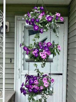Galvanized Hanging Triple Planter 13 Galvanized Hanging Triple Planter -Optimal Garden Care 8595213 02CUST tif