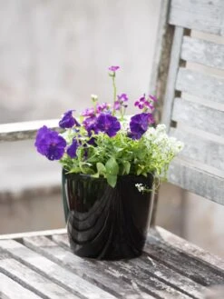 Viva Round Self-Watering Planter, 7" Diameter -Optimal Garden Care 8595222 1140 tif