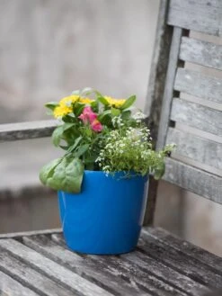 Viva Round Self-Watering Planter, 7" Diameter -Optimal Garden Care 8595222 1143 tif