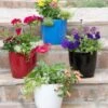 Viva Round Self-Watering Planter, 7" Diameter -Optimal Garden Care 8595222 5302 tif
