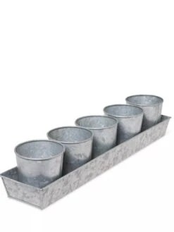 Galvanized Herb Planters With Rectangular Tray -Optimal Garden Care 8595903 3924 tif