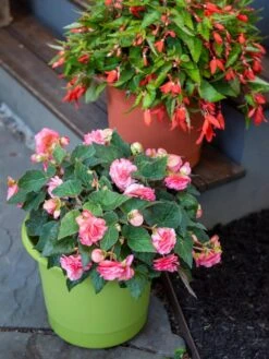 Eezy Gro Self-Watering Planters -Optimal Garden Care 8596427 0034 tif