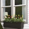 Valencia Window Box, 3' -Optimal Garden Care 8596436 7496 tif
