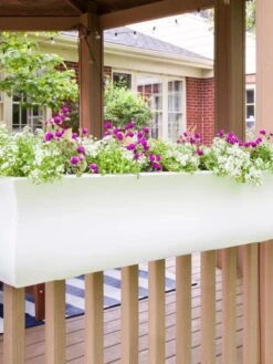 Valencia Window Box, 4' -Optimal Garden Care 8596437 006V tif