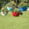 Viva Self-Watering Hanging Basket, 14" Diameter 2 Viva Self-Watering Hanging Basket, 14" Diameter -Optimal Garden Care 8596442 0851 tif