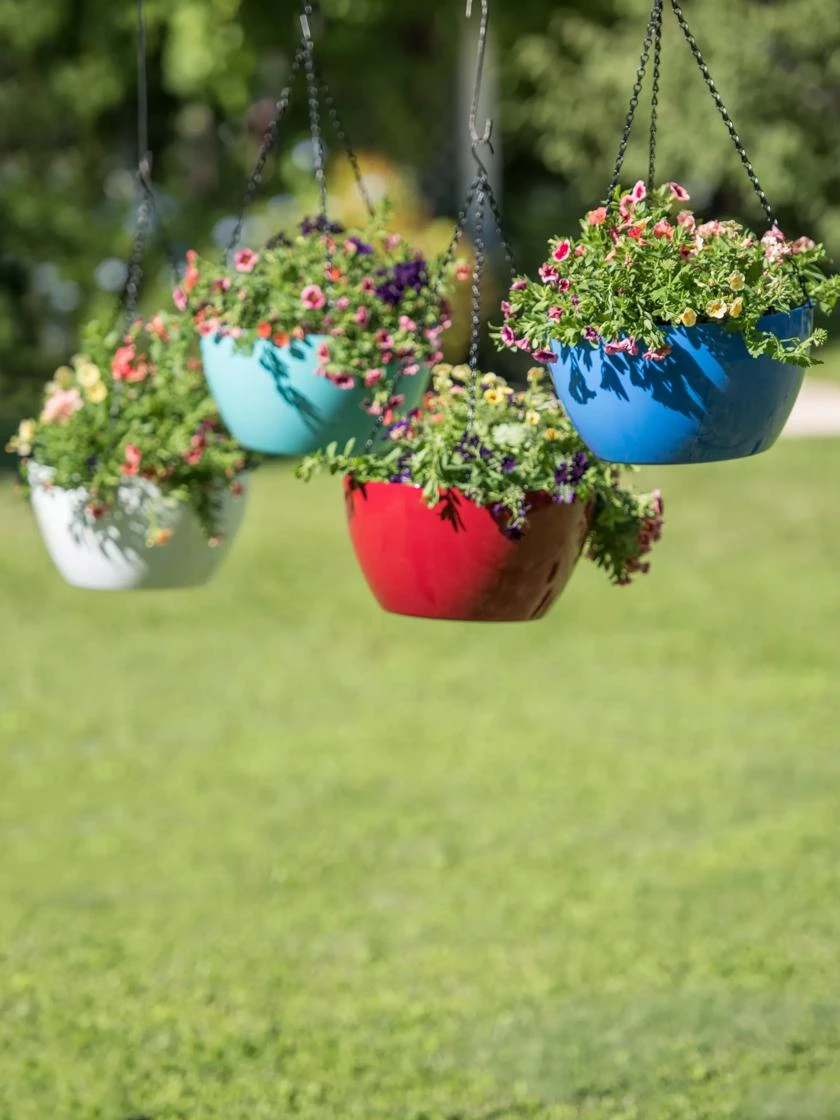 Viva Self-Watering Hanging Basket, 14" Diameter 3 Viva Self-Watering Hanging Basket, 14" Diameter