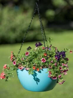 Viva Self-Watering Hanging Basket, 14" Diameter 10 Viva Self-Watering Hanging Basket, 14" Diameter -Optimal Garden Care 8596442 0859 tif