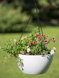 Viva Self-Watering Hanging Basket, 14" Diameter 9 Viva Self-Watering Hanging Basket, 14" Diameter -Optimal Garden Care 8596442 0864 tif