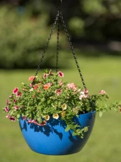 Viva Self-Watering Hanging Basket, 14" Diameter 11 Viva Self-Watering Hanging Basket, 14" Diameter -Optimal Garden Care 8596442 0876 tif