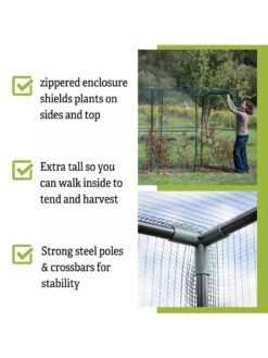 Crop Cage, 4' X 12' -Optimal Garden Care 8596540 4