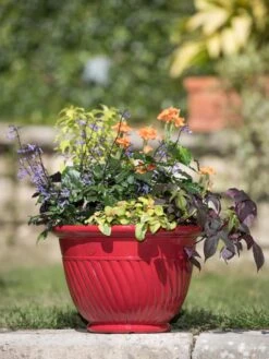 Mazzano Self-Watering Planters -Optimal Garden Care 8596564 4883 tif
