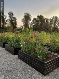 Gardener’s Exterior Wood Stain, 1 Quart -Optimal Garden Care 8596700 02IN