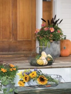 Galvanized Rim Planters -Optimal Garden Care 8597379 1625 tif