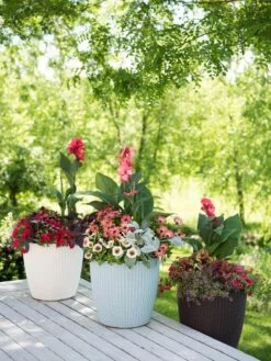 Weave Self-Watering Round Planter, 14" -Optimal Garden Care 8597388 2141 tif