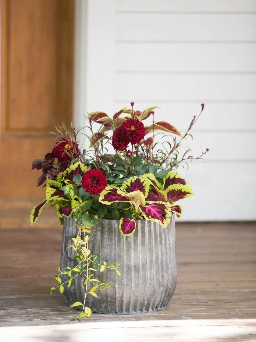 Galvanized Ribbed Planters 5 Galvanized Ribbed Planters - Image 3