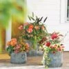 Galvanized Ribbed Planters -Optimal Garden Care 8597436 1680 tif
