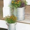 Galvanized Rim Planters -Optimal Garden Care 8597442 1700 tif