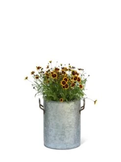 Galvanized Rim Planters -Optimal Garden Care 8597442 1705 tif