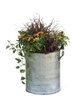 Galvanized Rim Planters -Optimal Garden Care 8597443 1704 tif