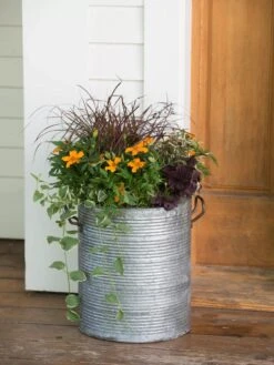 Galvanized Rim Planters -Optimal Garden Care 8597443 1708 tif