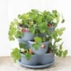 Stacking Strawberry Pot -Optimal Garden Care 8597996 9004 tif