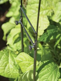 Adjustable Super Hoops, Set Of 3 -Optimal Garden Care 8598301 0640 tif