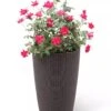 Weave Self-Watering Round Tall Planter, 12-1/2" -Optimal Garden Care 8598371 3000 tif