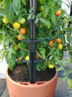 Gardener’s Victory Self-Watering Planter With Support System -Optimal Garden Care 8598384 01EMP tif 1