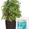 Gardener’s Victory Self-Watering Planter Garden Kit -Optimal Garden Care 8598389 5000 tif