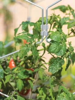 Gardener's Vertex Lifetime Tomato Cage -Optimal Garden Care 8598426 0011 tif