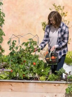 Gardener's Vertex Lifetime Tomato Cage -Optimal Garden Care 8598426 0026 tif