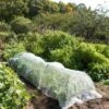 Insect Protection Tunnel -Optimal Garden Care 8598536 8225 tif