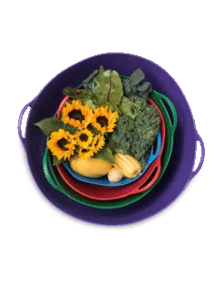 Colorful Tubtrug, 3-1/2 Gallon -Optimal Garden Care 8599088 20GalTubTrug gif 1