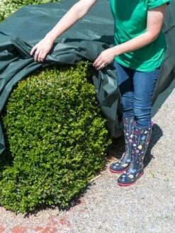 The Planket® Frost Protection Plant Cover, 10' X 20' -Optimal Garden Care 8599101 0929 tif