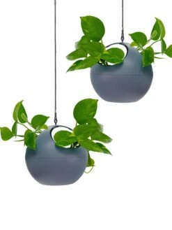Exaco Euro Hanging Planters, Set Of 2 -Optimal Garden Care 8599179 04V tif