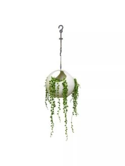 Exaco Euro Hanging Planters, Set Of 2 -Optimal Garden Care 8599179 06V tif