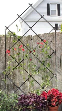 Achla Designs Freestanding Lattice Trellis