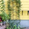 Achla Designs Waves Trellis 1 Achla Designs Waves Trellis -Optimal Garden Care 8599491 01V tif