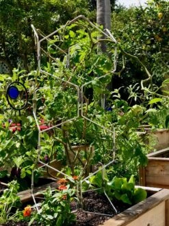 Gardener's Vertex Lifetime Pepper And Eggplant Cage -Optimal Garden Care 8599554 01CUST tif