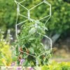 Gardener's Vertex Lifetime Pepper And Eggplant Cage 2 Gardener's Vertex Lifetime Pepper And Eggplant Cage -Optimal Garden Care 8599554 3000 tif