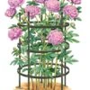 Titan Peony Supports, Large, Set Of 2 -Optimal Garden Care 8599857 0001 art tif
