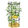 Titan Pepper Eggplant Cages, Set Of 3 1 Titan Pepper Eggplant Cages, Set Of 3 -Optimal Garden Care 8599859 0001 art tif