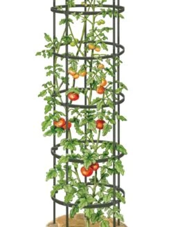Titan Tall Tomato Cages, Set Of 3 -Optimal Garden Care 8599860 0002 art tif