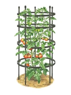 Titan Tomato Cages, Set Of 3 -Optimal Garden Care 8599861 0001 art tif