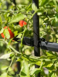 Titan Tomato Cages, Set Of 3 -Optimal Garden Care 8599861 0079 tif 1