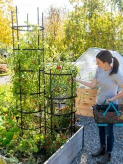 Titan Tomato Cages, Set Of 3 -Optimal Garden Care 8599861 0114 tif