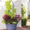 Verona Obelisk -Optimal Garden Care 8600055 19706 tif