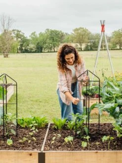 Zenith Folding Garden Supports, Set Of 2 -Optimal Garden Care 8600073 324 tif