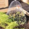 Chicken Wire Cloche With Extension -Optimal Garden Care 8600116 0482 tif